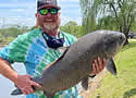 buffalocarp