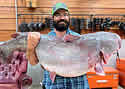 catfishrecordmississippi