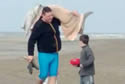 dolphinhandle
