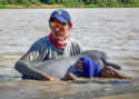 dolphinrescuecolombia