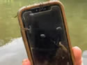 dunkingphone