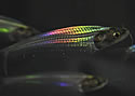 fishrainbox