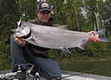 fishsalmon