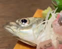 freshfish