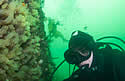 gulfofmaine