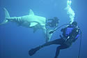 gwssubmarine