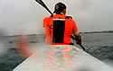 kayakshark