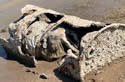 lakemeadbody