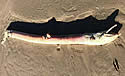 longfish
