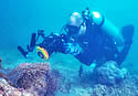 macrodiving