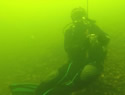 msudiver
