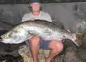 recordfish