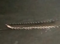 sawfish