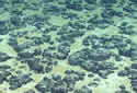 seabed