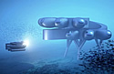 sealabcure