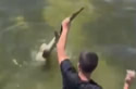 sharkbite