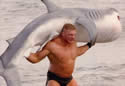 sharkwrestler