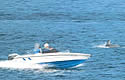 speedboatch
