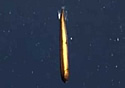 torpedofish