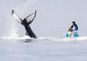 whalerider
