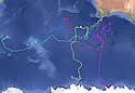 whaletrack