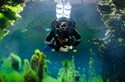 budapestscuba