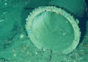chamberpot