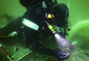 diverescavates