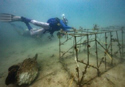 diverstructure