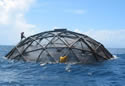 fish-farming