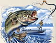 fishlight