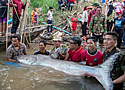 makong