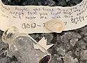messagebottle