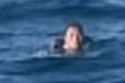 missingocean