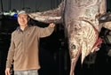 monsterswordfish