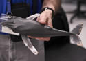 plasticwhale