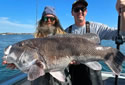 rhodeislandrecord