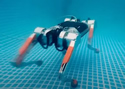 robotdog