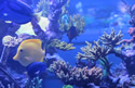 saltwaretanks