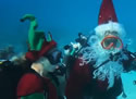 santaelfish