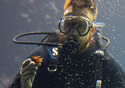 scubaocean