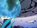 seaworldabu