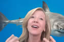 sharktracker