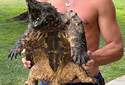 snappingturtle-nw