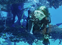 sylviaearle