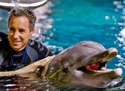 unethicaldolphins