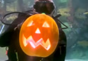 uwcarving