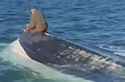 whaleriderman