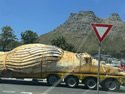 whaletransport