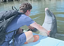 whalewhisperer